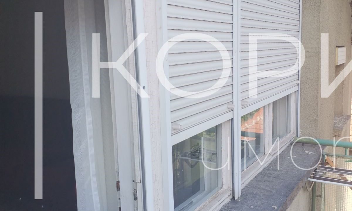 viber_image_2026-03-19_15-30-04-363